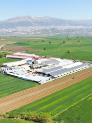 Maraş Usulü Çilekli Dondurma 500 Gr