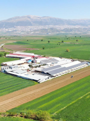 Ev Yapımı Sumak Ekşisi  200 Gr